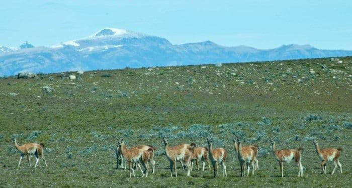 Auf der Fahrt nach El Chaltén