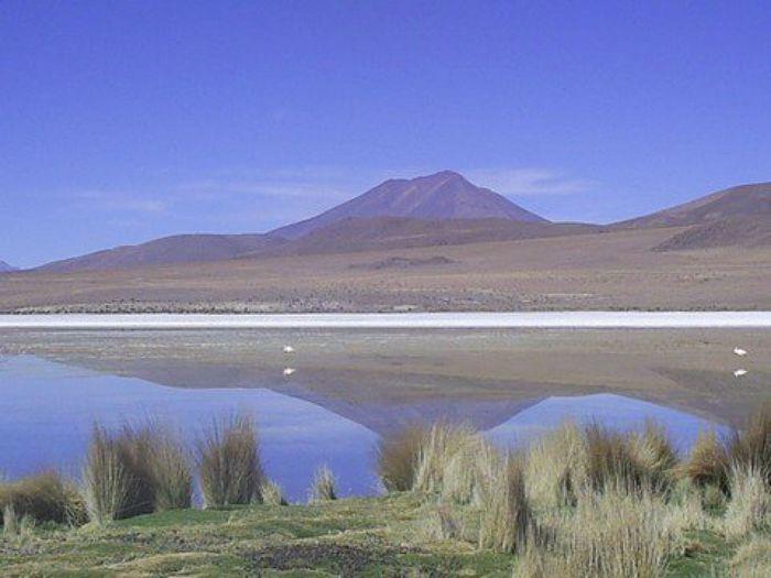 Lagune auf dem Altiplano