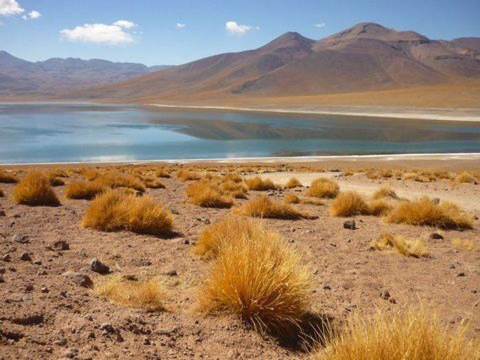 Malerisches Altiplano