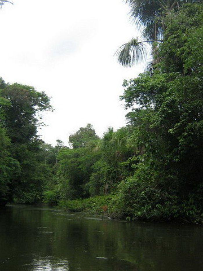 Amazonas Landschaft