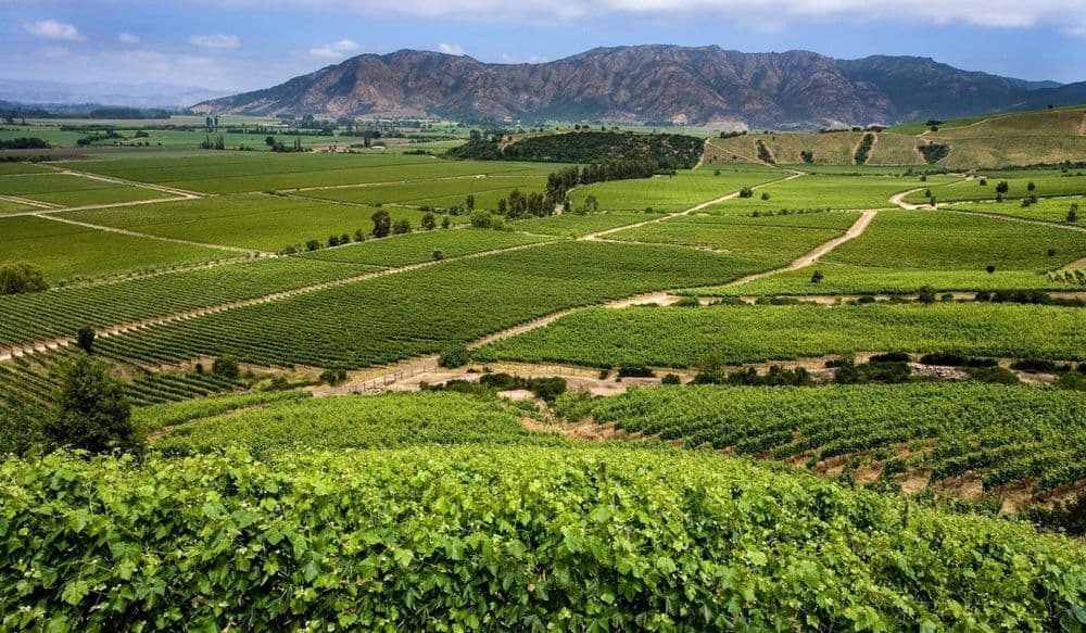 Colchagua Valley (1) (1)