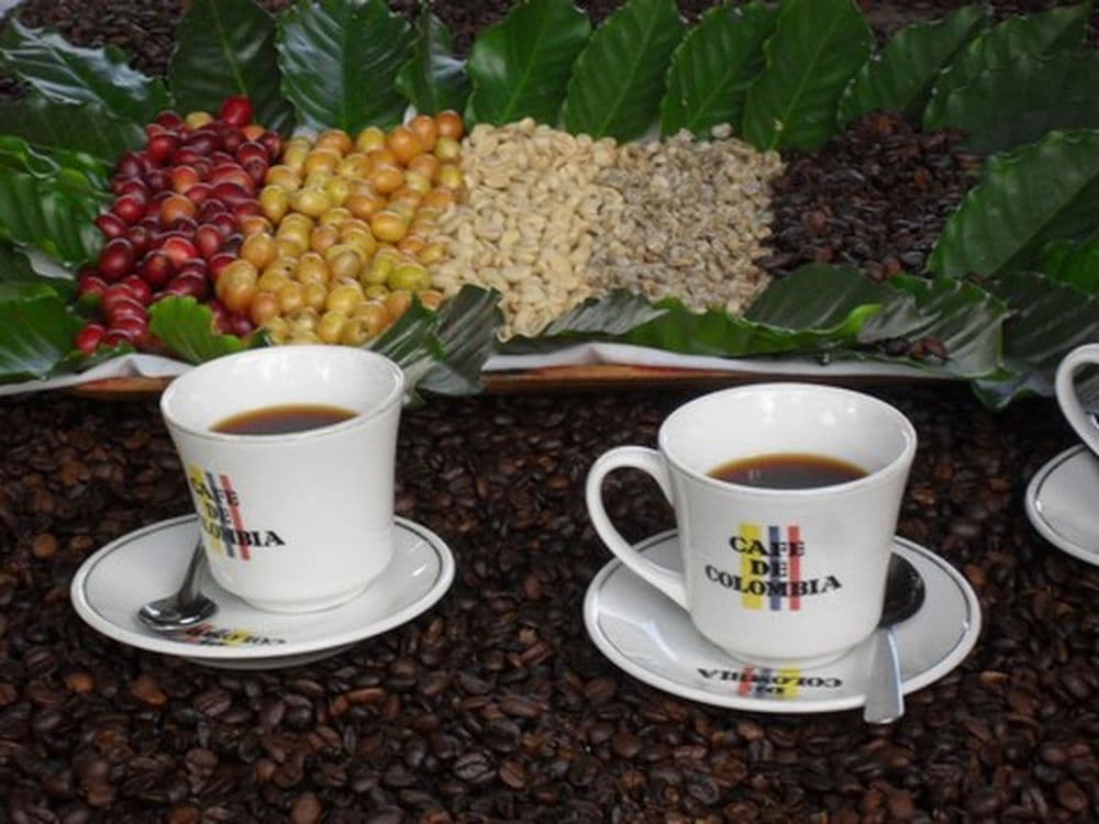 De la mata a la taza