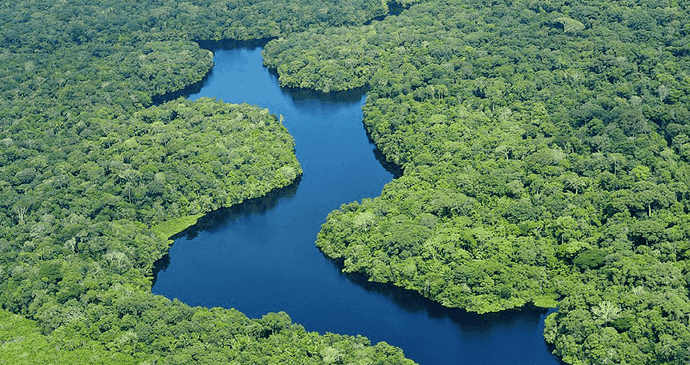 Amazonas