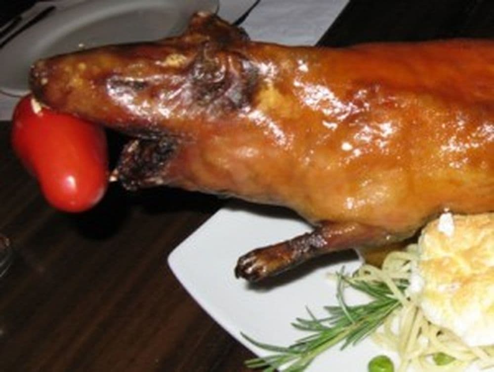 Cuy - gebratenes Meerschweinchen