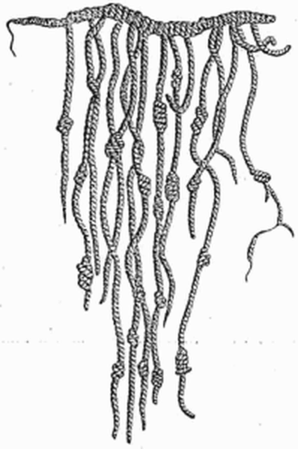 Quipu. Photo Credit: Wikipedia Commons