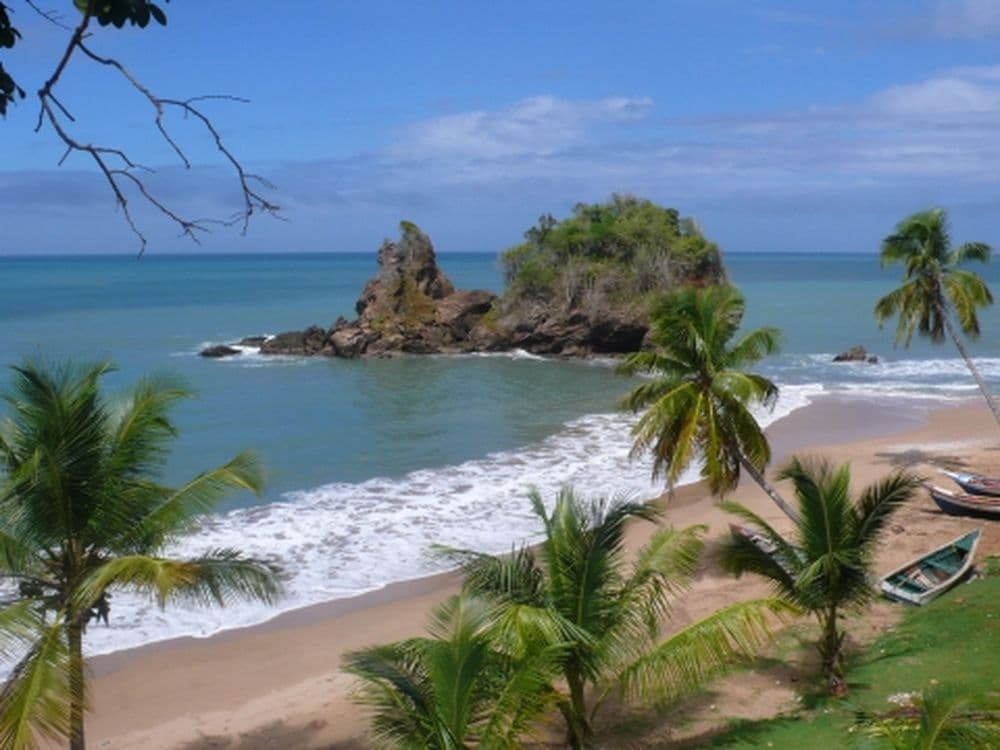 Playa de uva