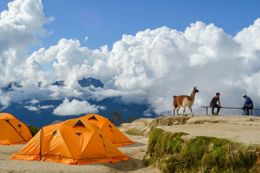 Camino Inca