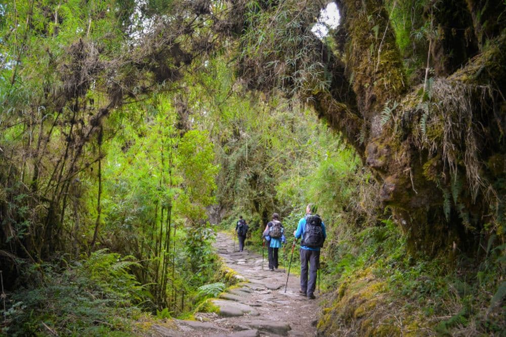 Camino Inca (54 of 99)