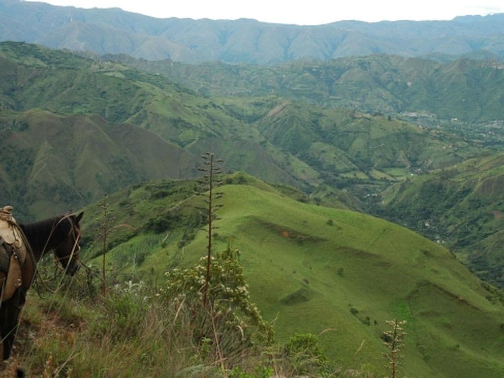 Ecuador 3
