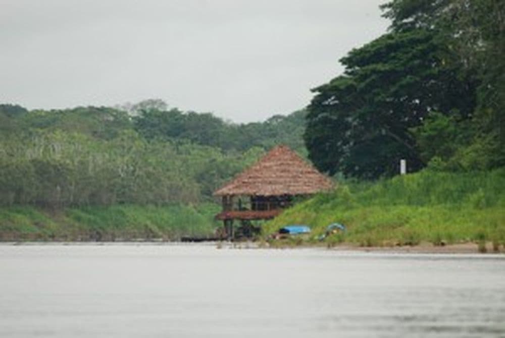 Amazonas