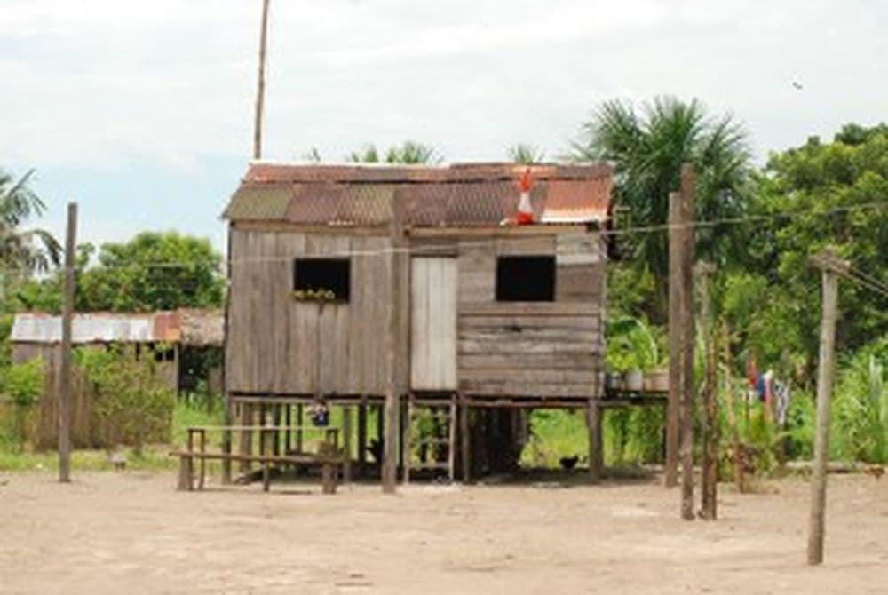 Amazonas