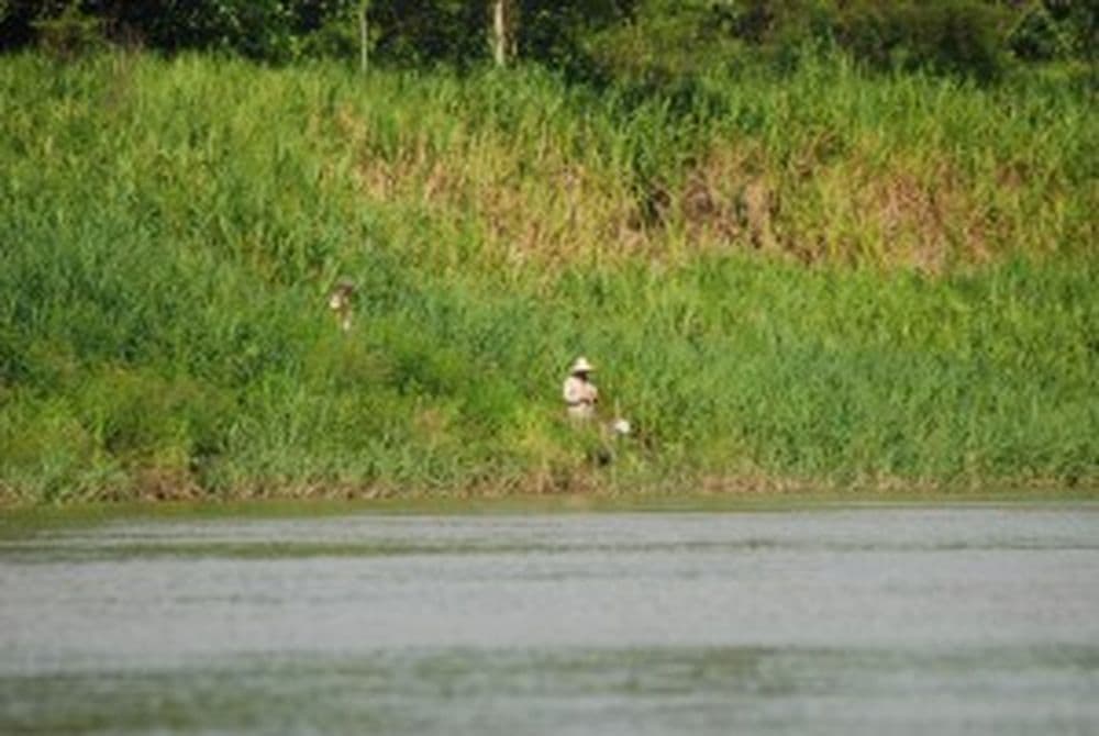 Amazonas