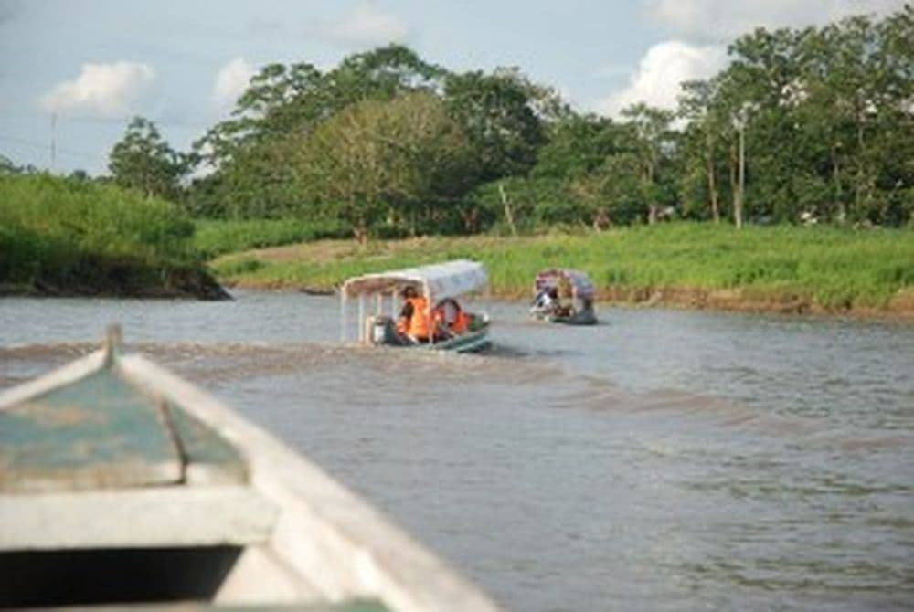 Amazonas