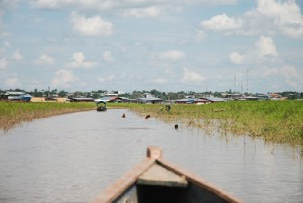 Amazonas