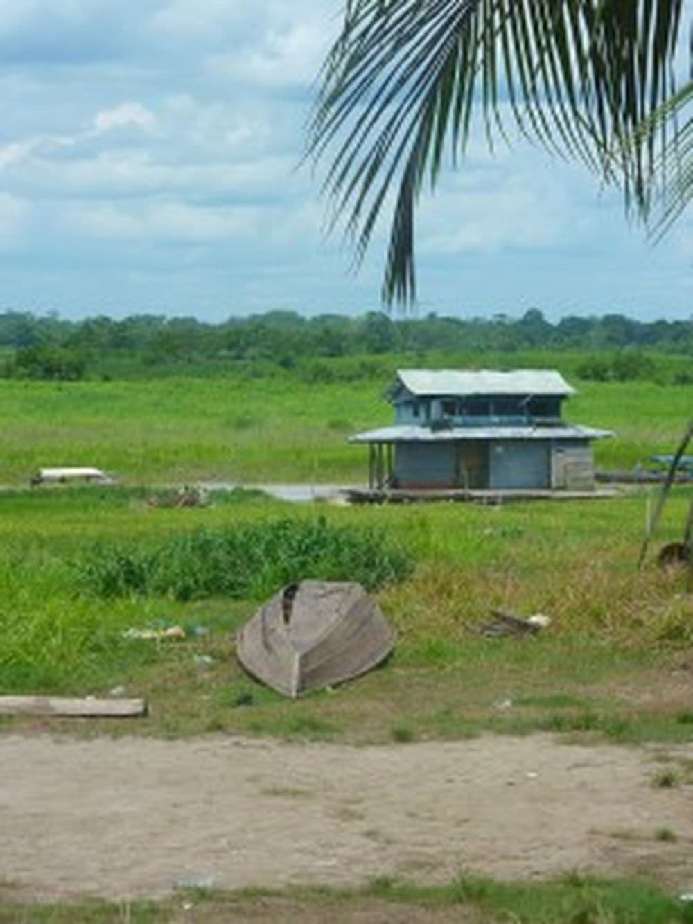 Amazonas