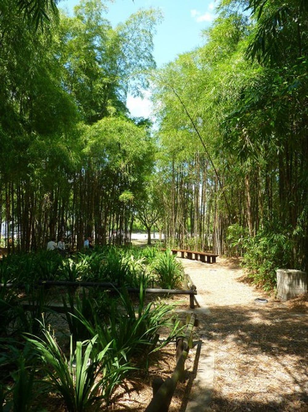 Parque de los Pies Descalzos
