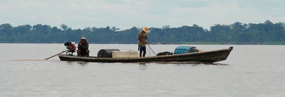 Amazonas
