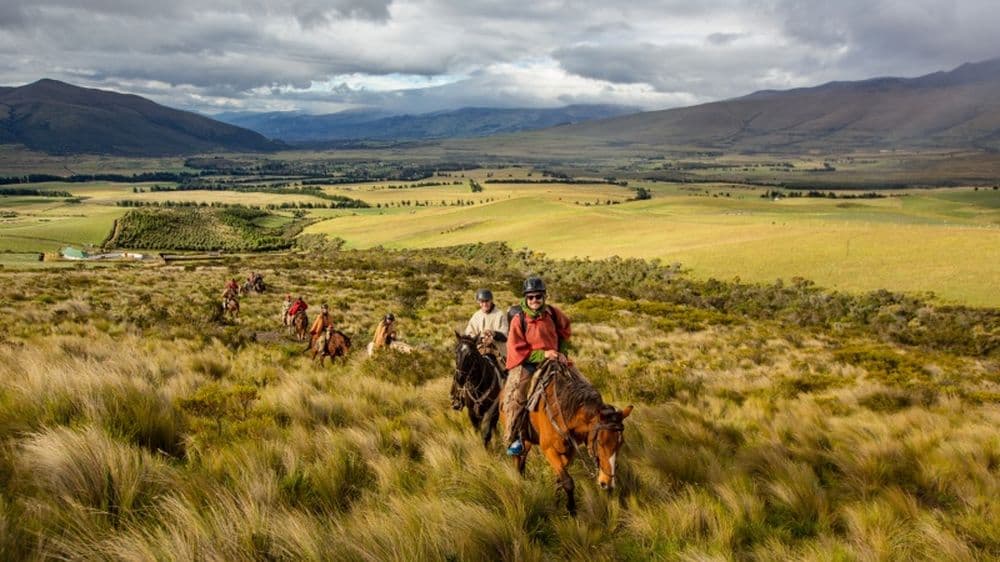 Zu Pferd geht es durch die Graslandschaften des Paramo.