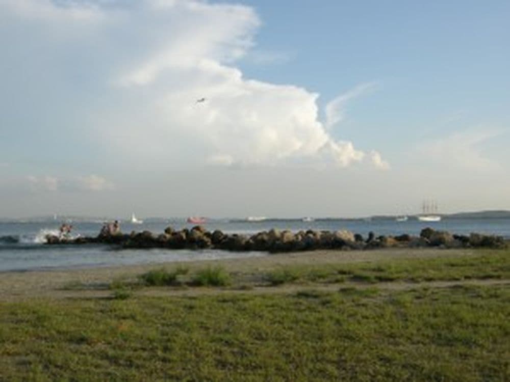 DSCN1991