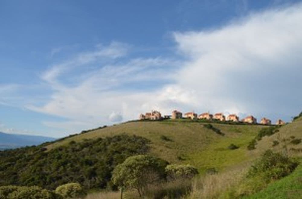 DSC_0065