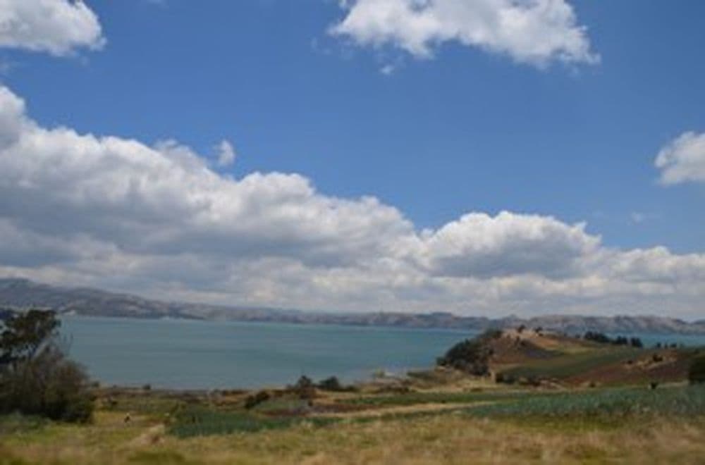 DSC_0120