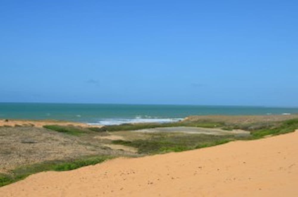 DSC_0311