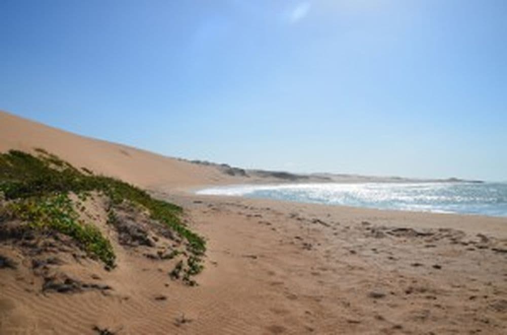 DSC_0330