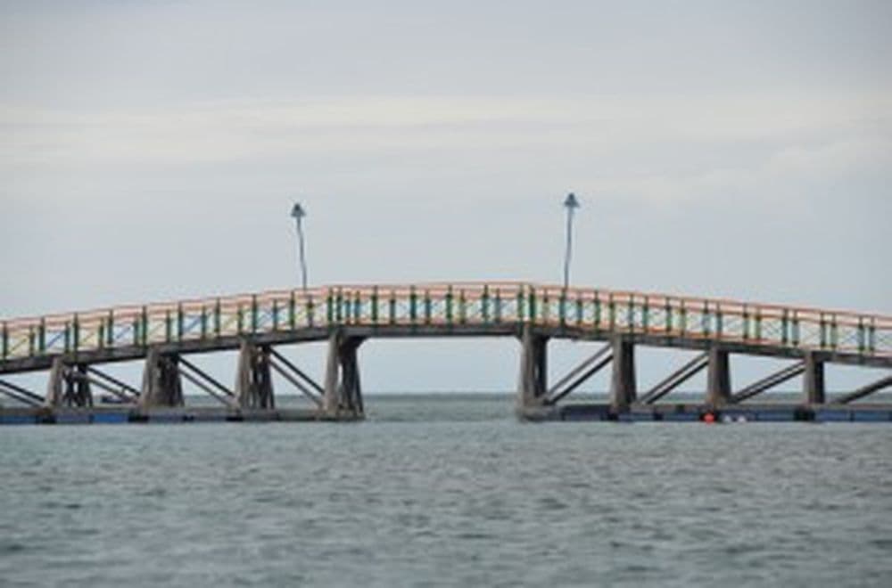 DSC_0356