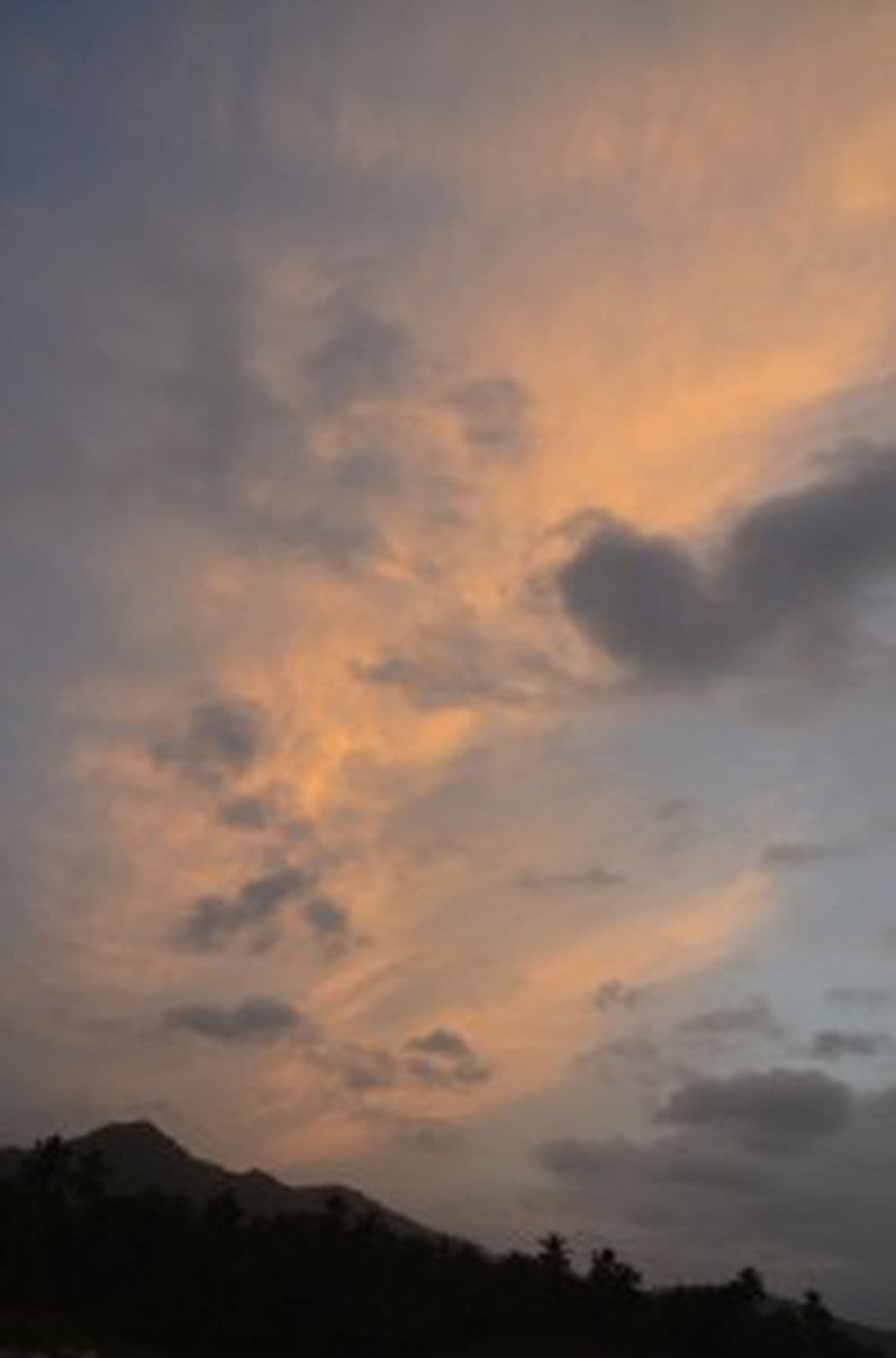 DSC_0412