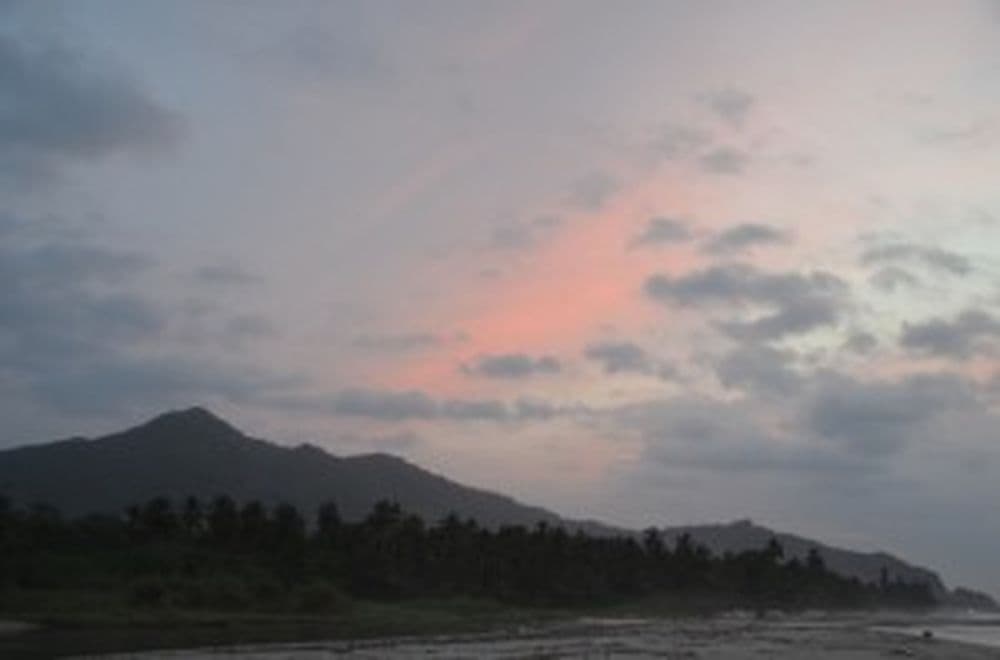DSC_0437