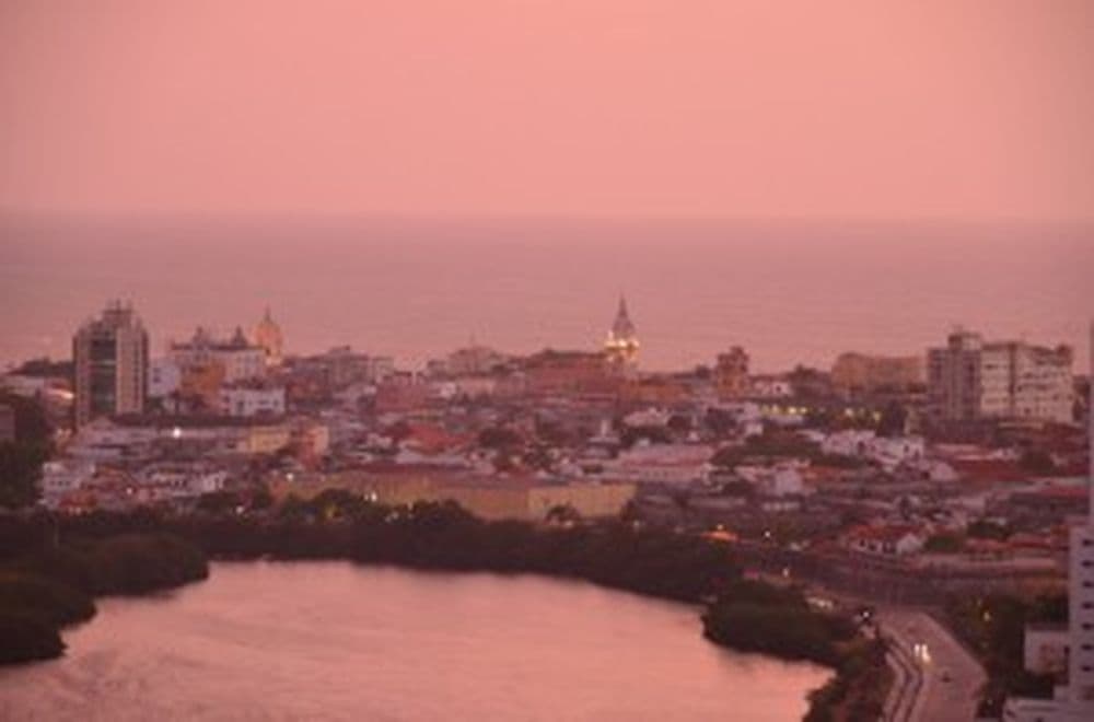 DSC_0842