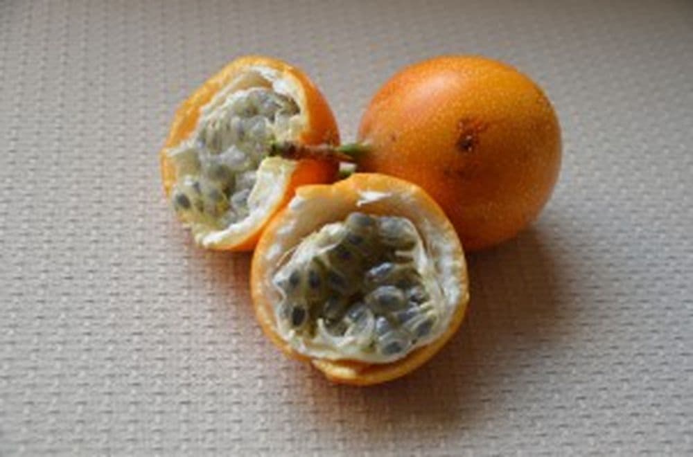 Granadilla