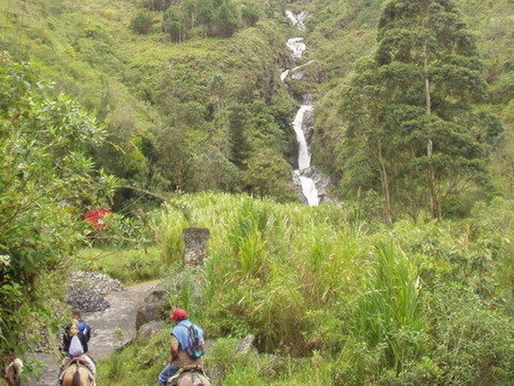 Baños_abcd-480-15765