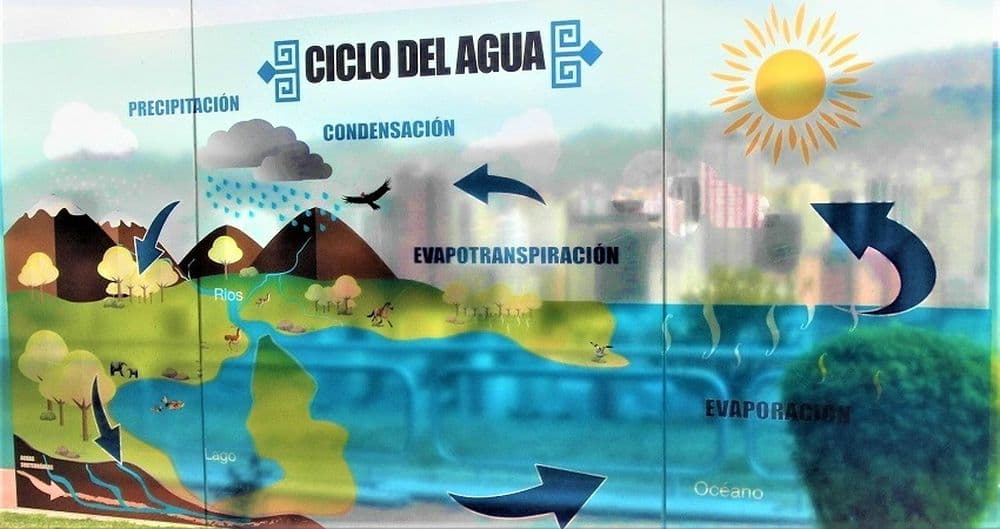 Im WWF Projekt "EcoLab" in La Paz wird an einer Grafik beschrieben, wie die natürliche Wasserzirkulation funktioniert. 