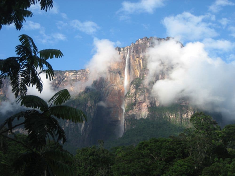 Salto Angel 59381