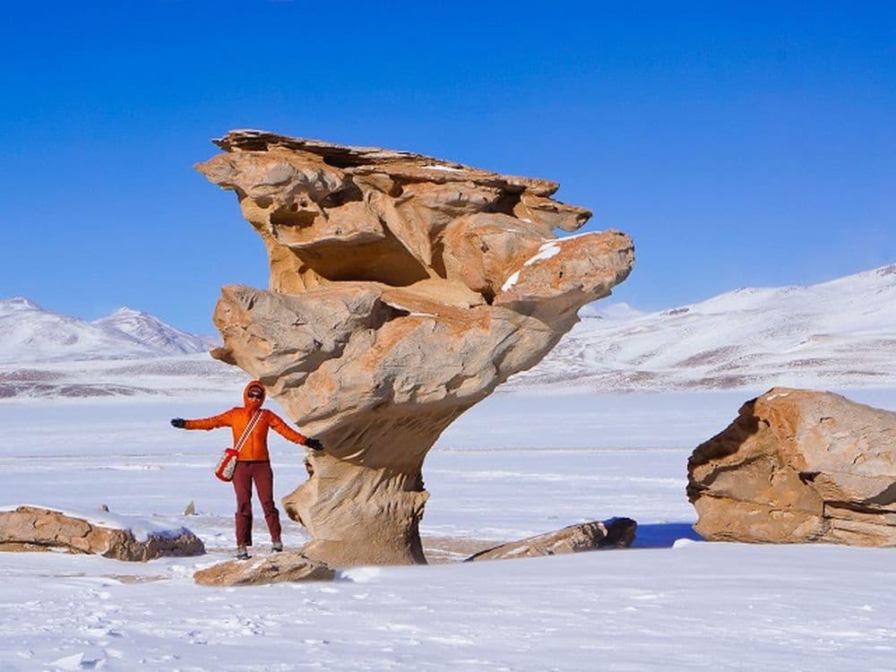 Salar de Uyuni - Arbol de Piedra