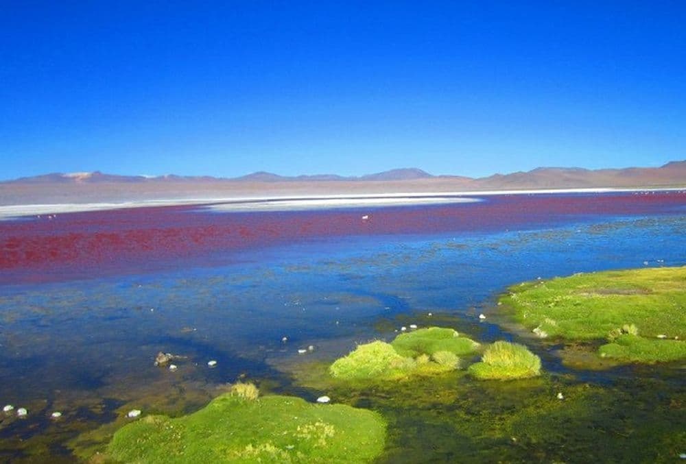 Salar de Uyuni Bolivien - Laguna Colorada