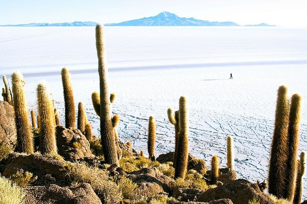 Vi_BO_Salar Uyuni10