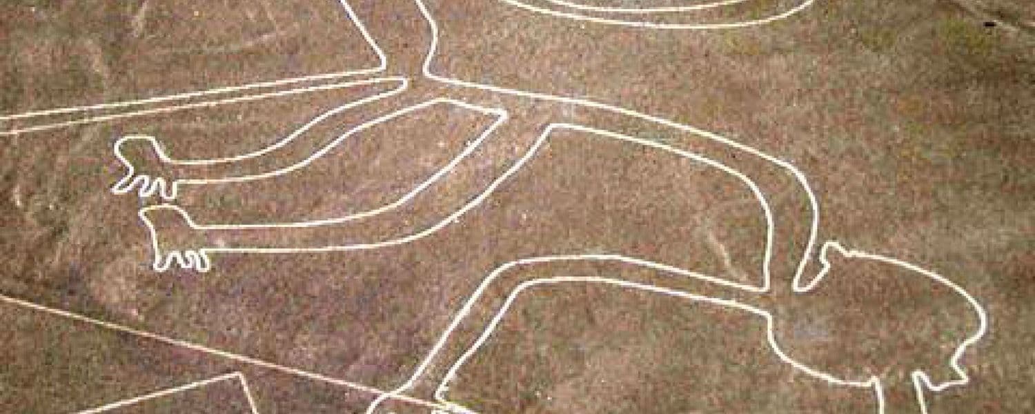 Lineas nasca
