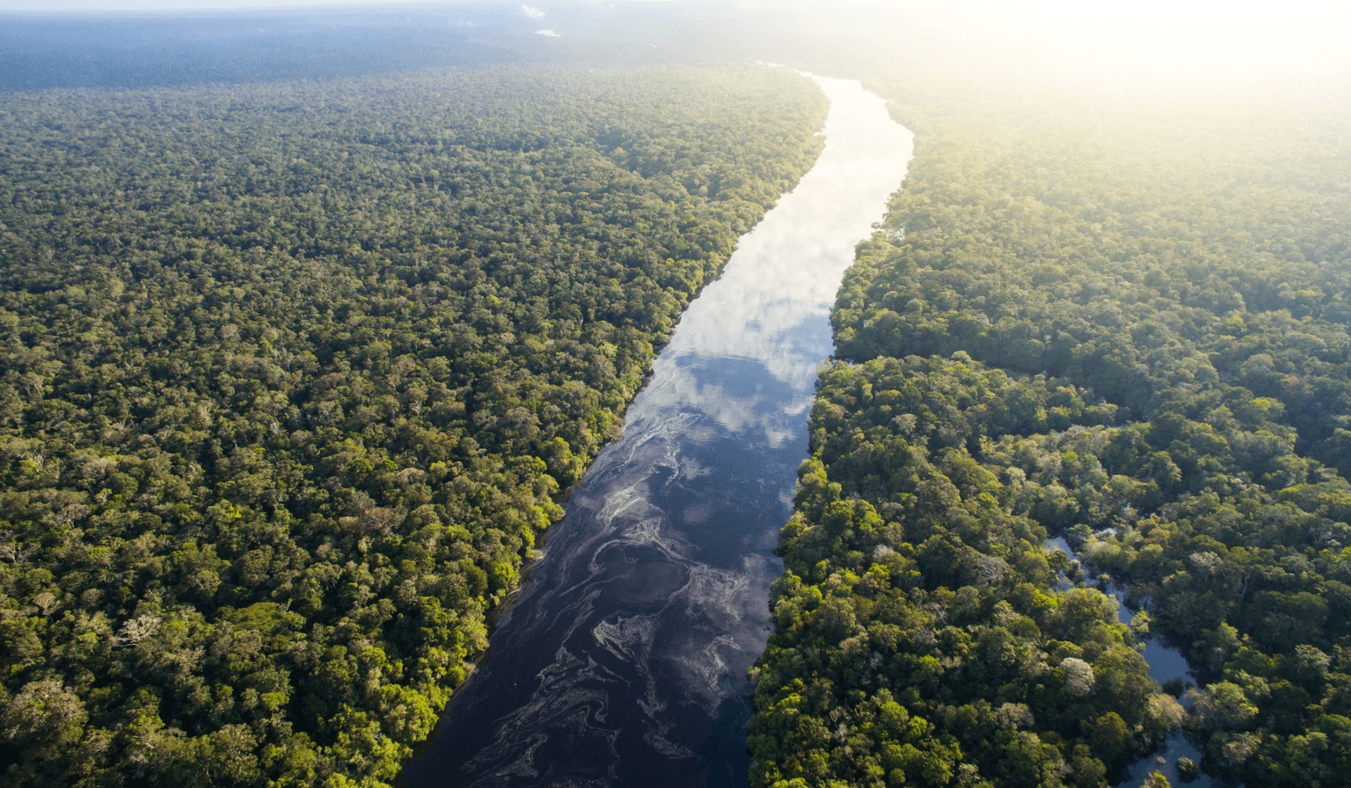 Das Amazonasbecken