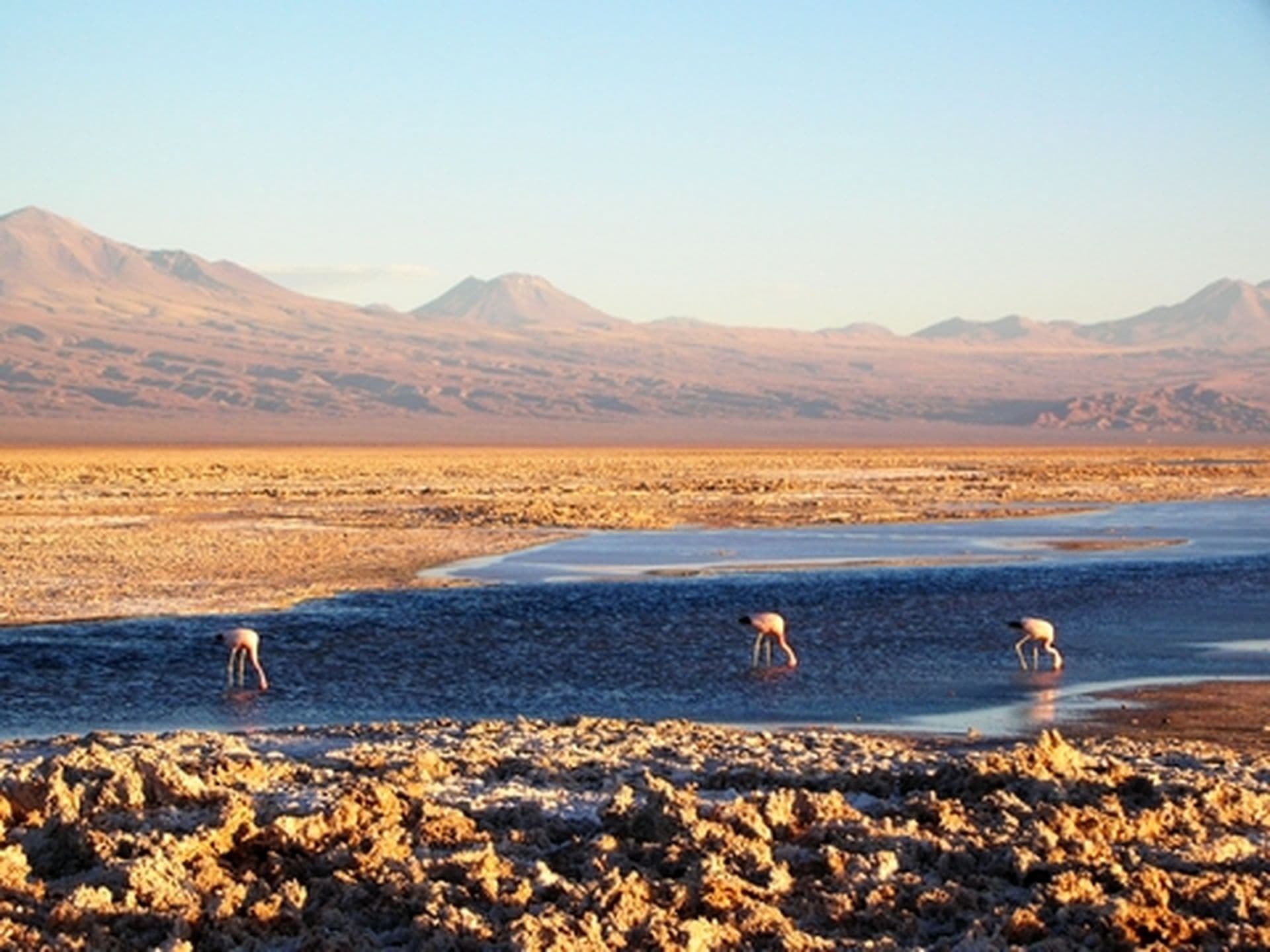 Entdeckt das längste Land der Welt: viActive Chile Nord+Süd
