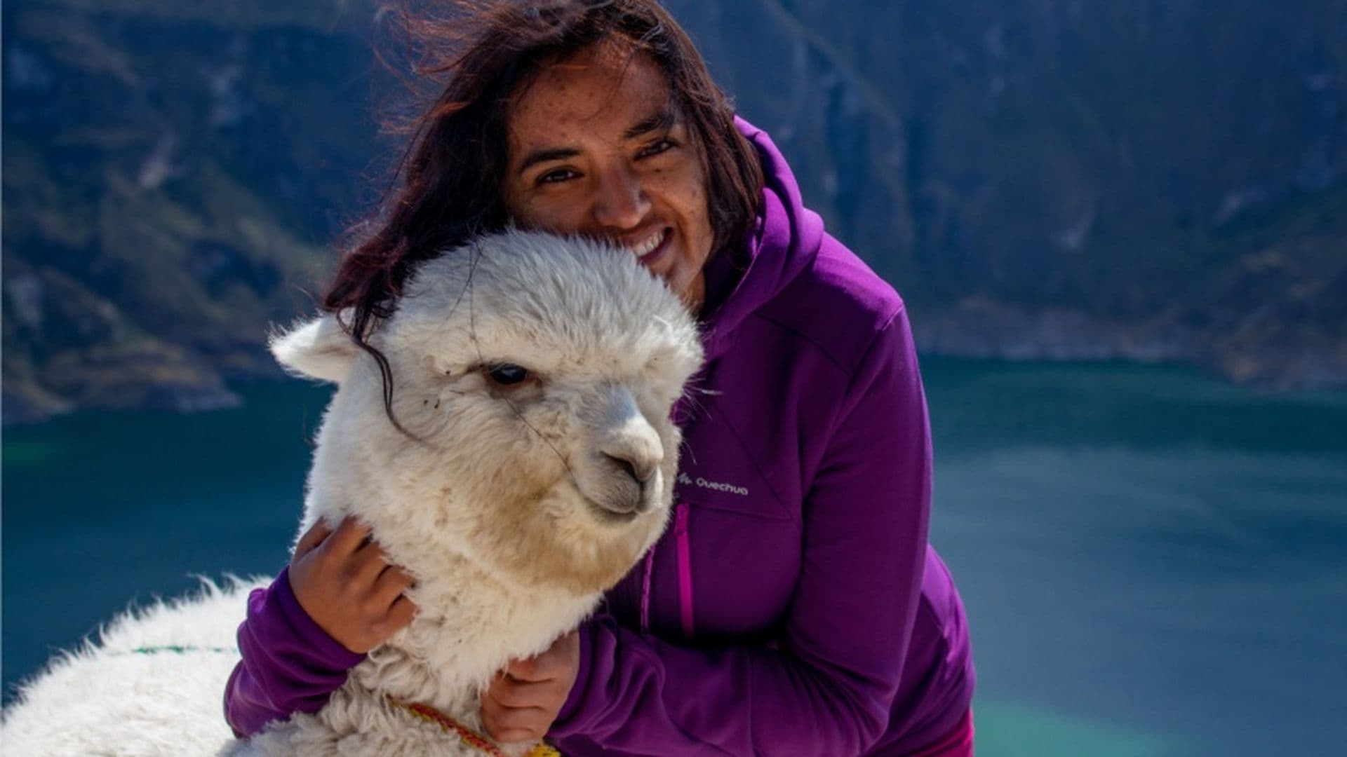 Wie die Alpakas Ecuadors Natur retteten