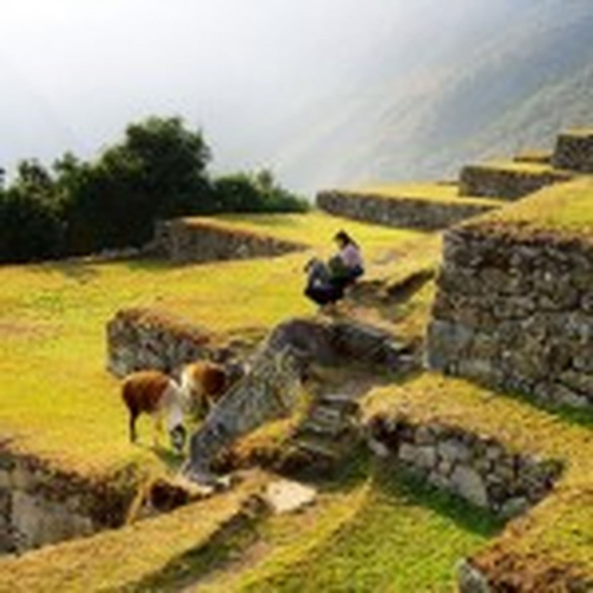 Peru: Der Inkatrail, eine Wanderung durch die Zeit