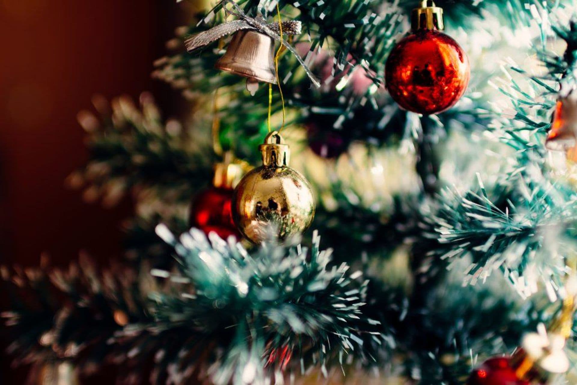 Weihnachtsrezept aus Bolivien: La Picana de Navidad
