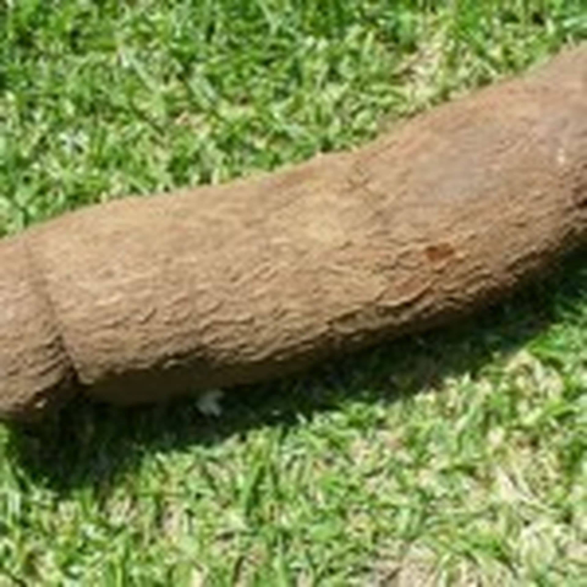 Gericht des Monats aus Ecuador: Muchines de Yuka