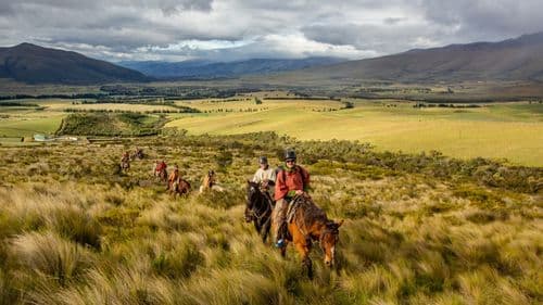 Zu Pferd geht es durch die Graslandschaften des Paramo.