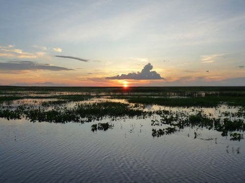 llanos
