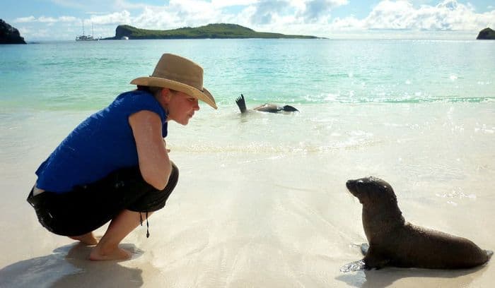 galapagos-otaries
