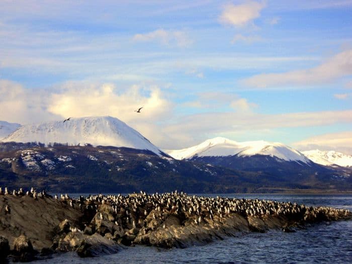 Beagle Channel