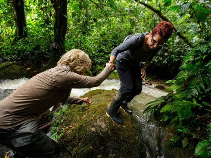 amazonas archidona djungle ecuador vivideo 856 - Exploring the Amazonas in Archidona, Ecuador